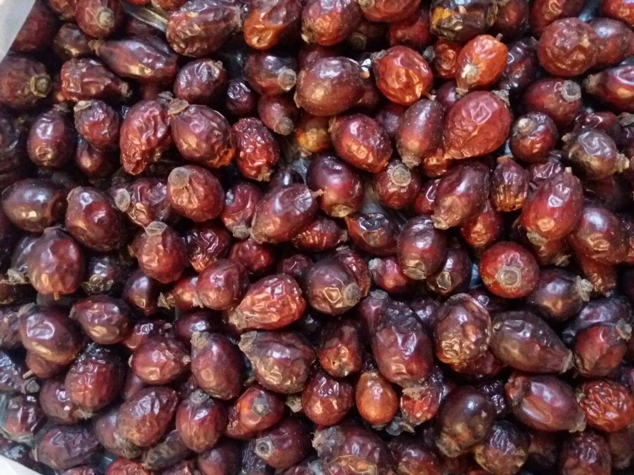 Шипшина морожена